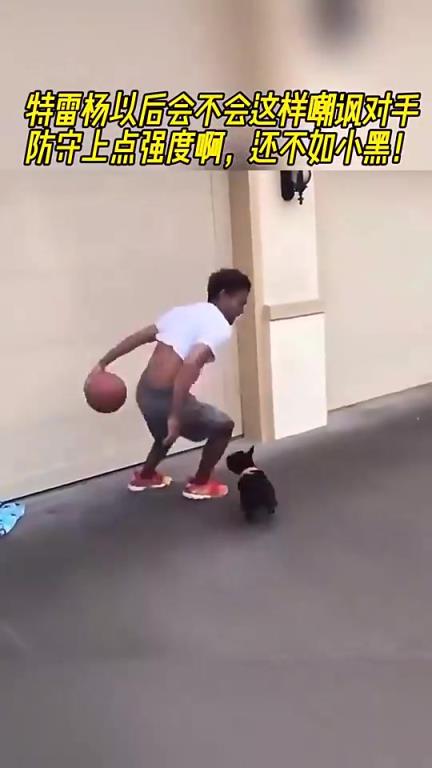 还是你会玩特雷·杨遭遇小黑狗狗防守，花式运球戏耍+嘲讽~