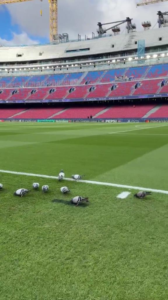 巴萨正在聘用一些非传统的场地维护人员，以保持诺坎普球场的完美